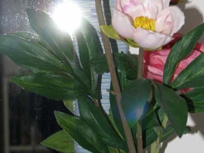 Picture of flowers in front of a mirror, with the flash from the camera reflecting back through the stems