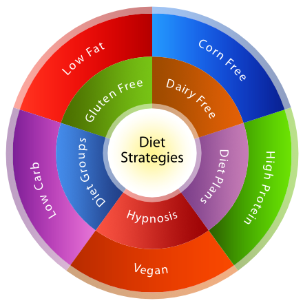 Some of the many reasons people choose to diet displayed in a graphic wheel